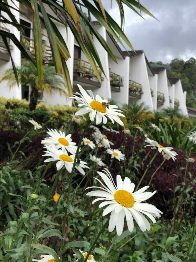 Hotel Ladera Boquete Eksteriør billede